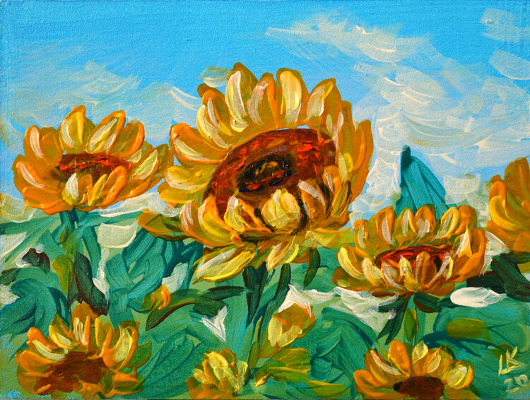 Sunflower field Lada Kholosho