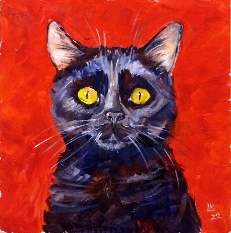 Black cat portrait Lada Kholosho