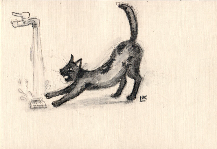 Water inspector Lada Kholosho