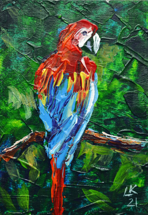Macaw Parrot Lada Kholosho