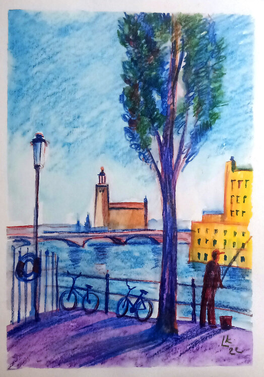 The view of Stockholm. Cityscape. Lada Kholosho