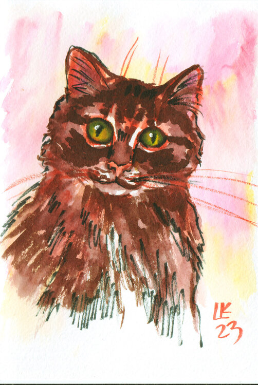 Brown cat Lada Kholosho