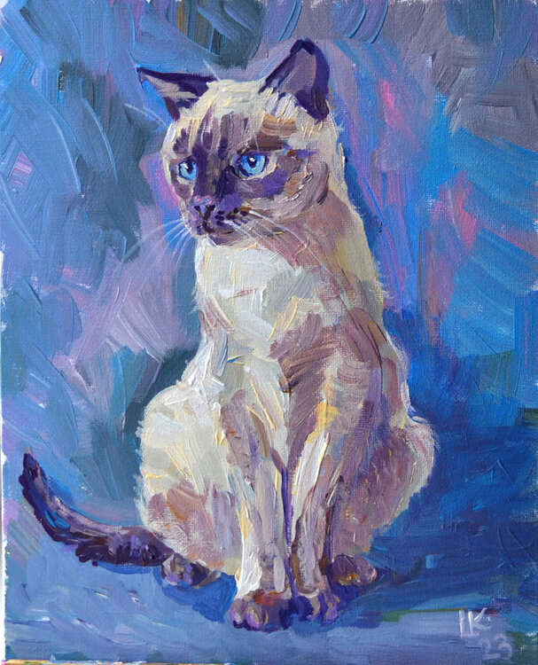 Siamese Cat on a Blue Background Lada Kholosho