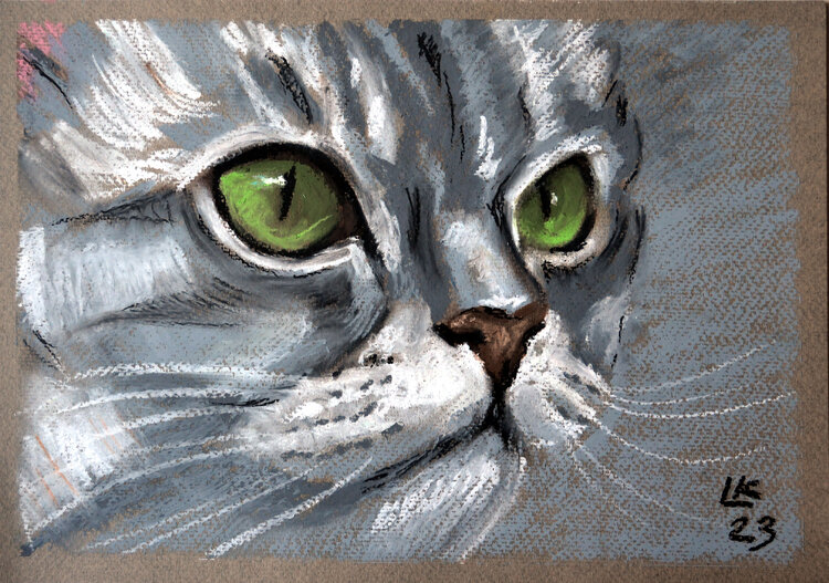 Green eyed tabby cat face Lada Kholosho