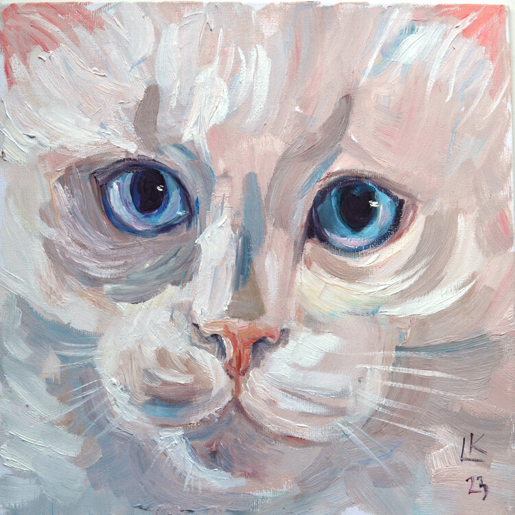 White Cat with Blue eyes Lada Kholosho