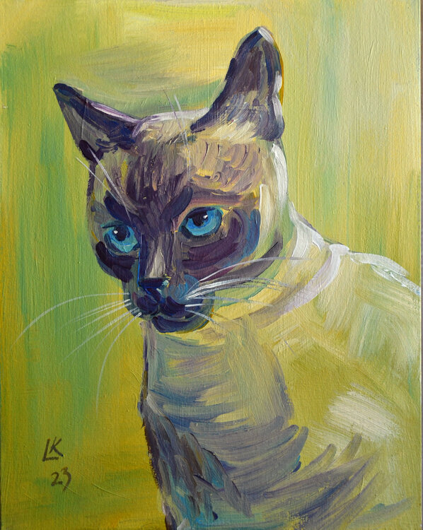 Siamese Cat portrait on a yellow background Lada Kholosho
