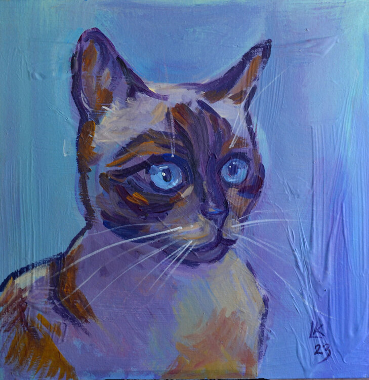 Siamese Cat portrait Lada Kholosho