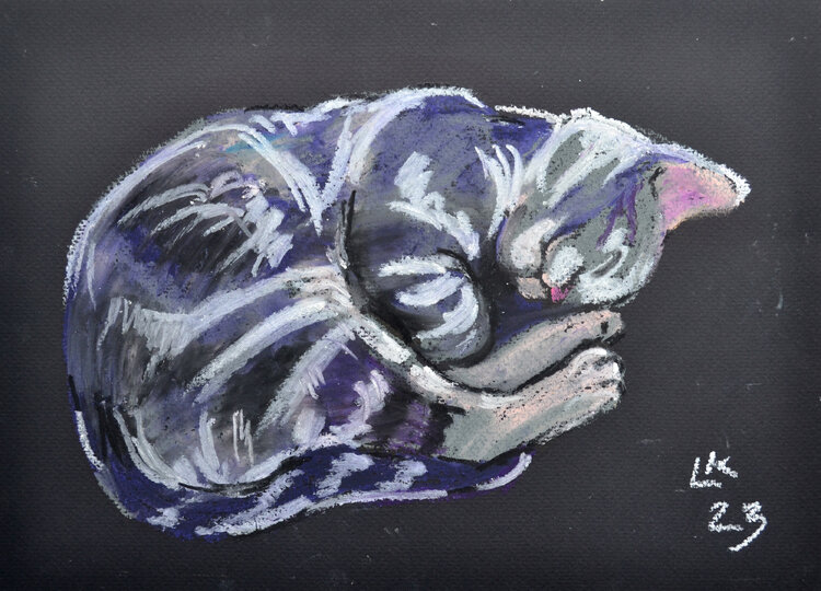 Sweet Sleeping Kitten Lada Kholosho