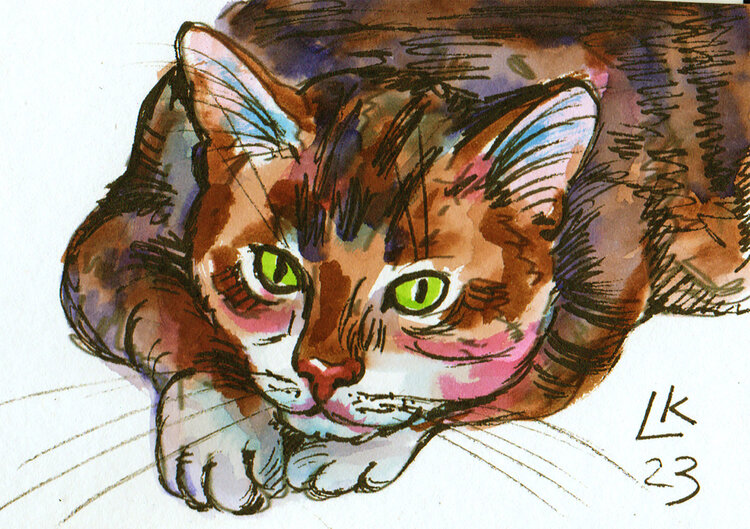 Feline Palette. Cat #2 Lada Kholosho