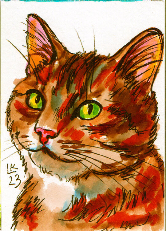 Feline Palette. Cat #3 Lada Kholosho