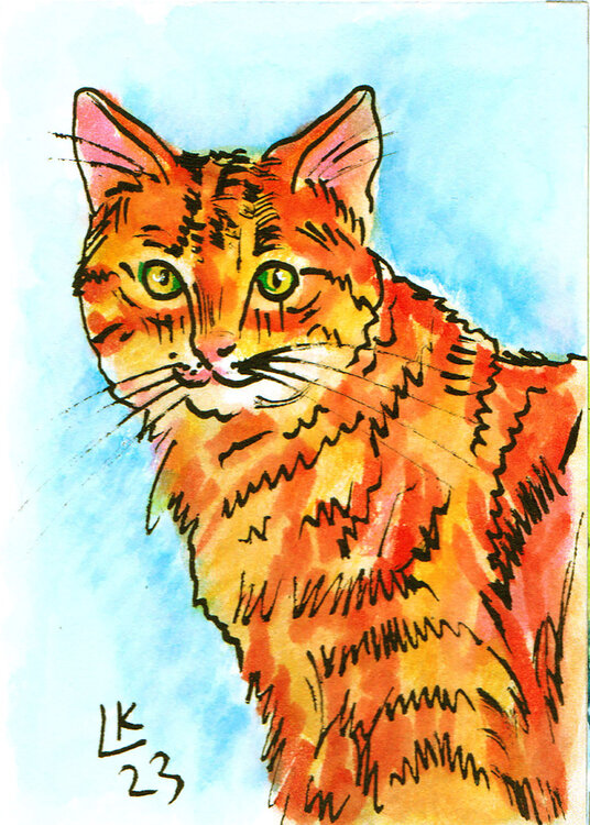 Feline Portrait #4 Lada Kholosho