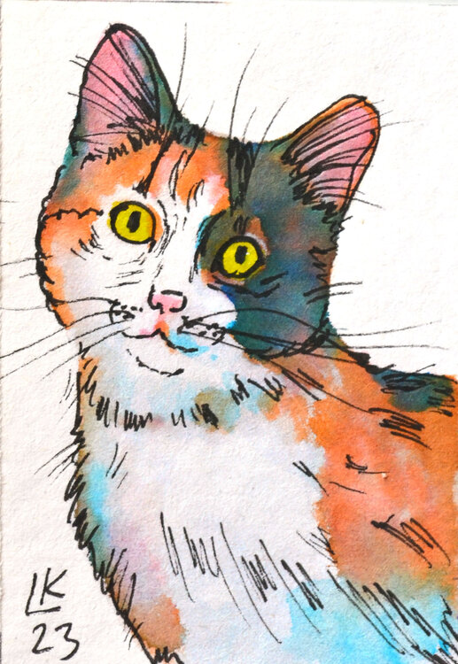 Calico cats #1 Lada Kholosho