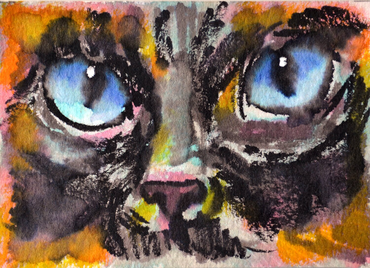 The Cat's gaze Cat #19 Lada Kholosho