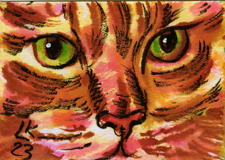 The Cat's gaze Cat #21 Lada Kholosho