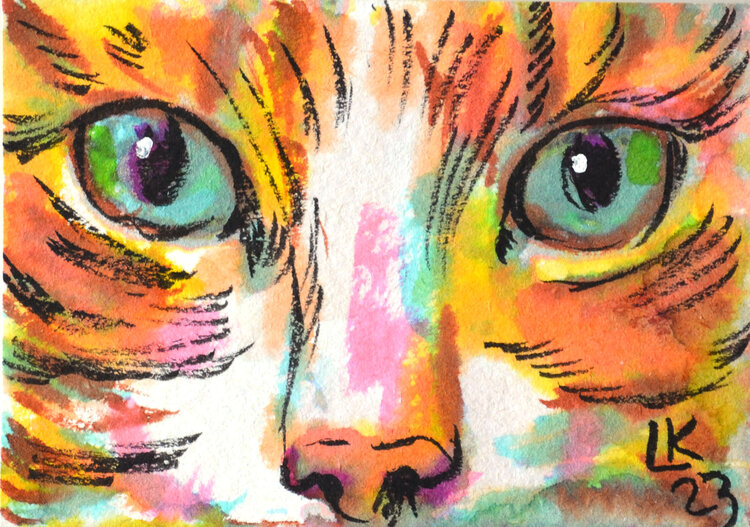 The Cat's gaze Cat #23 Lada Kholosho