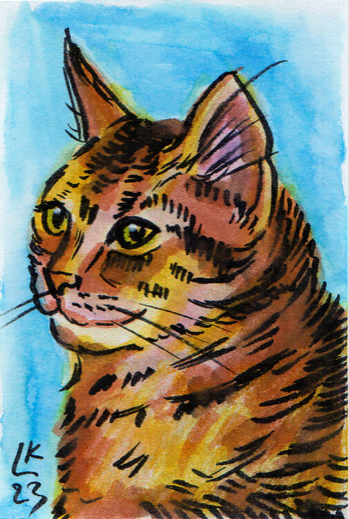 Cat's varieties Cat #8 Lada Kholosho