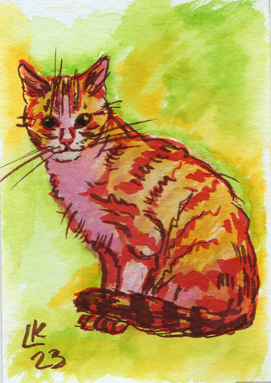 Cat's varieties Cat #18 Lada Kholosho