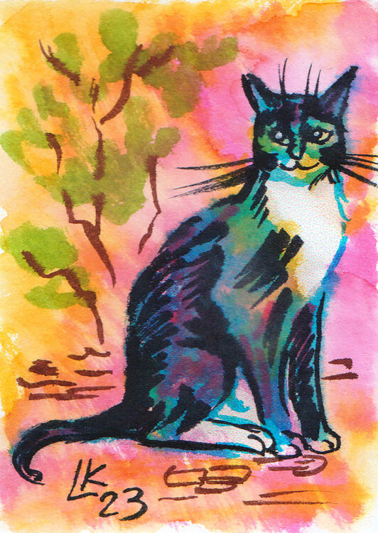 Cat's varieties Cat #28 Lada Kholosho