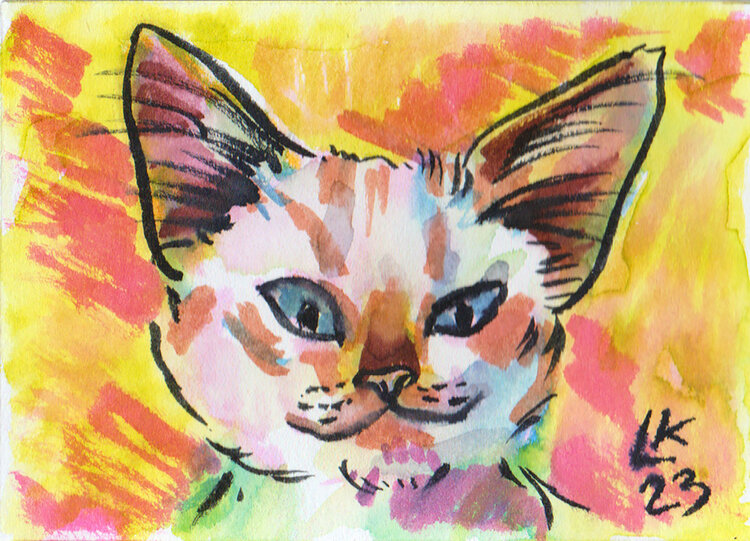 Cat's varieties Cat #48 Lada Kholosho