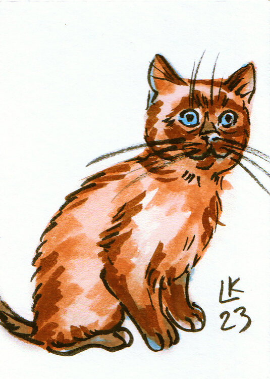 Cat's varieties Cat #69 Lada Kholosho