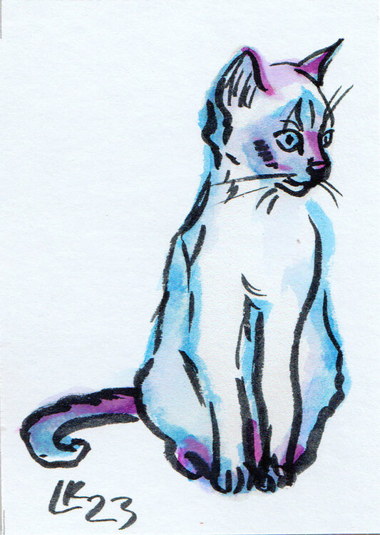 Cat's varieties Cat #17 Lada Kholosho