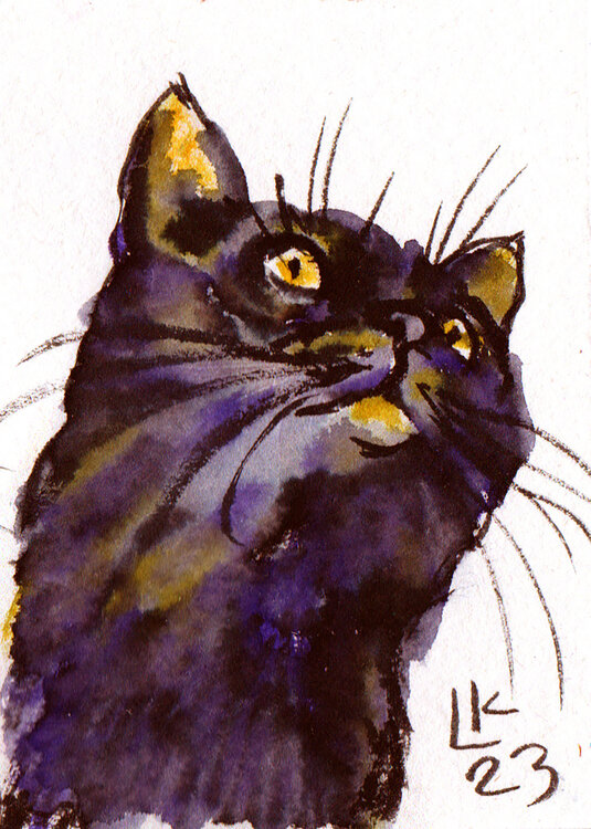 Furry Treasure Cat #1 Lada Kholosho