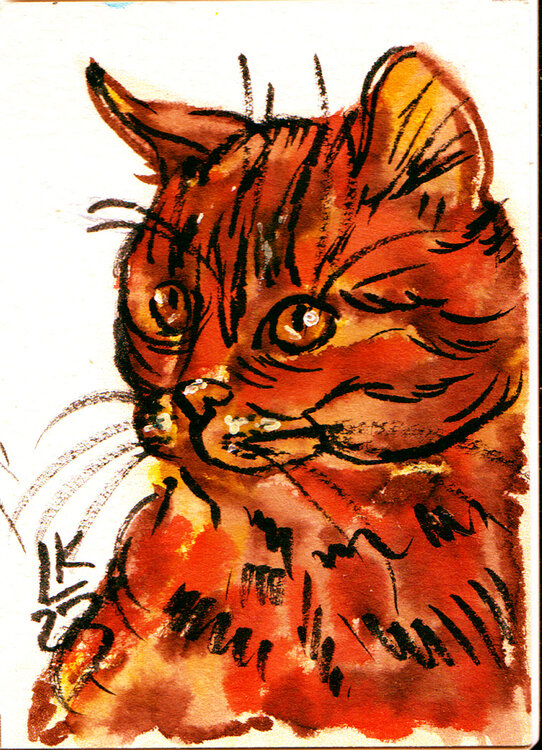 Furry Treasure Cat #8 Lada Kholosho