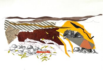Fin d été Claire TROADEC
