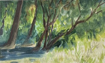 Jardin de la Torre Girona Virginie Martin Blaise