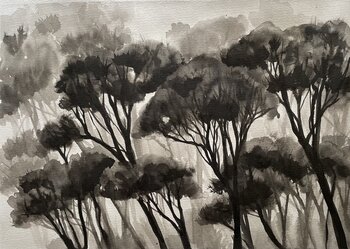 Pins maritimes - 1 Virginie Martin Blaise