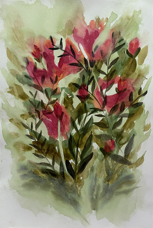 fiori rossi e foglie, acquerello astratto Daria Ceppelli