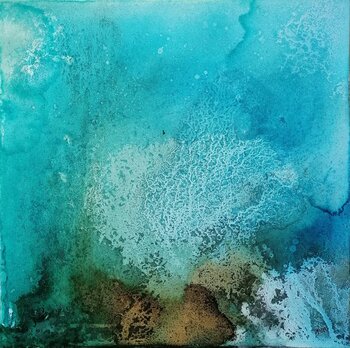 Cœur de corail Nicolette Moya