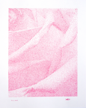 Rose, detail - Yozakura Christian Hotz