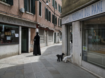 Il profumo del cane Ginevra Formentini