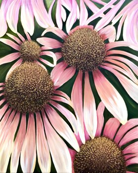 Echinacea Arrangement Denise Kerkeling