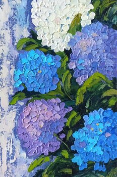 Hydrangea -Inna -Bebriša