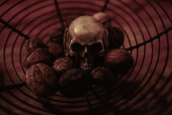 Nature Morte Skull et Noix Cyril Vuillemin