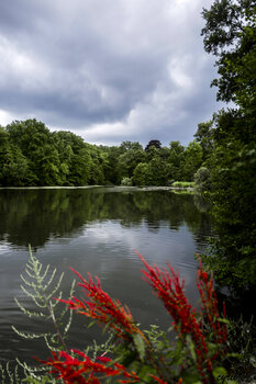 contrastres es couleurs au lac de saint cucufa   . Cyril Vuillemin