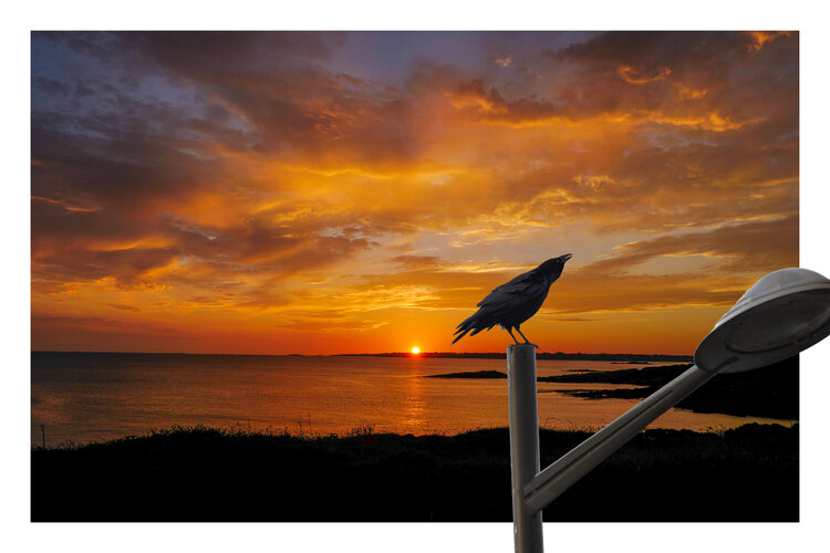 Improbable Sunset Cyril Vuillemin