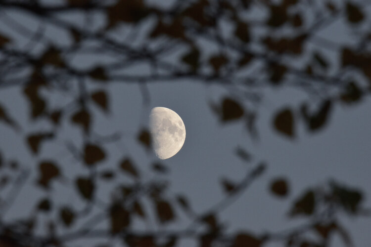 Lune joueuse Cyril Vuillemin