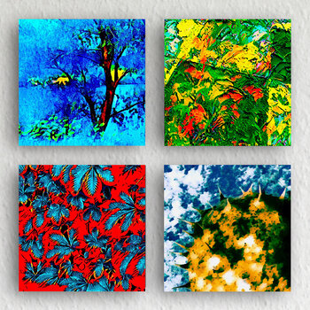 The gardener's dream Olaf Trunschke