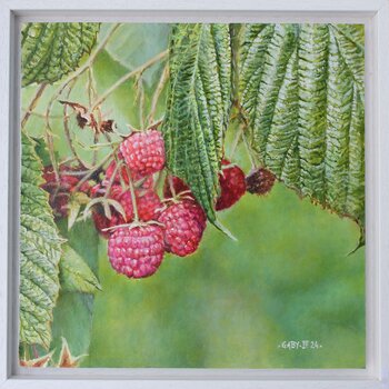 Framboises Pierre-Jean Gaby