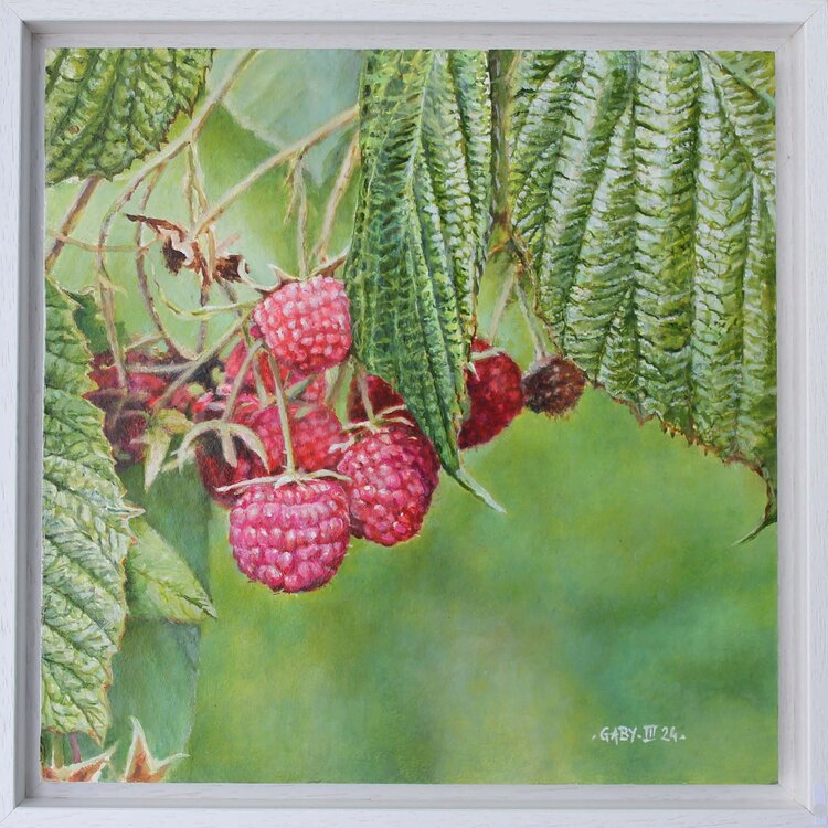 Framboises Pierre-Jean Gaby