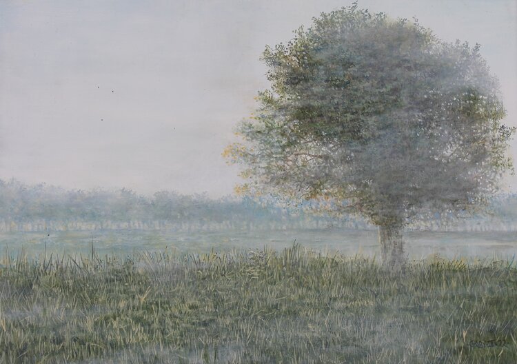 Brume Pierre-Jean Gaby