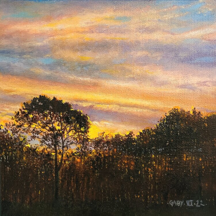 Ciel des Landes Pierre-Jean Gaby