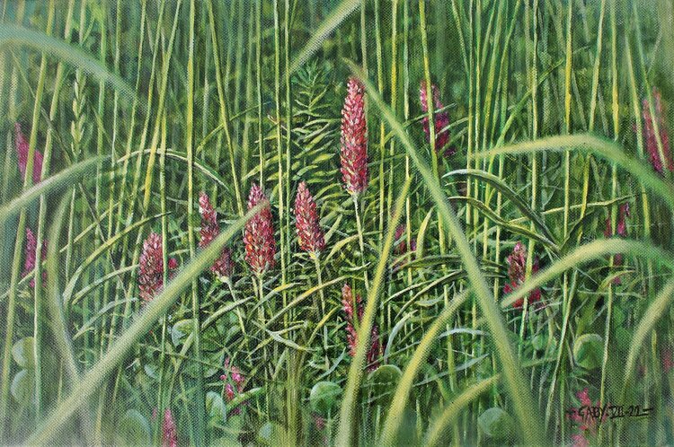 Prairie Pierre-Jean Gaby