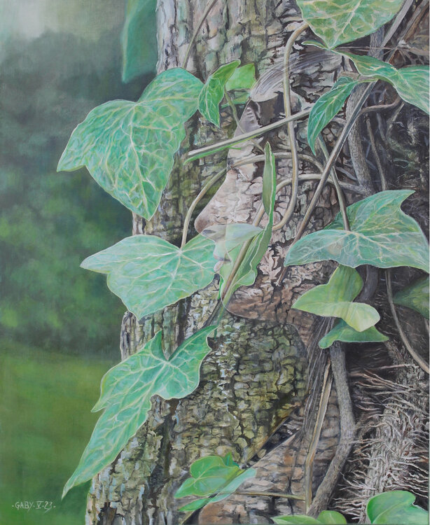 Hamadryade (Balanos) Pierre-Jean Gaby