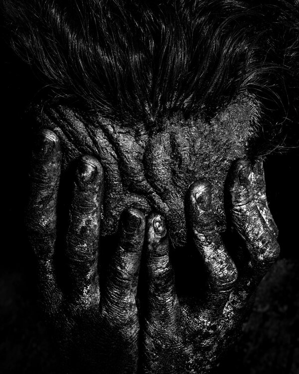 NOIR FONCÉ 28 Grégory Gaydu