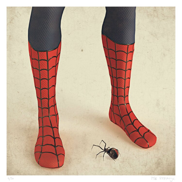 VIENS VOIR PAPA ! Mr Strange