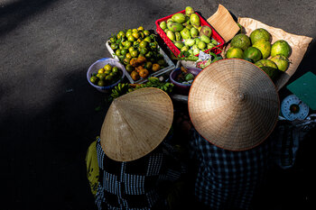 Fruit David Bourbasquet